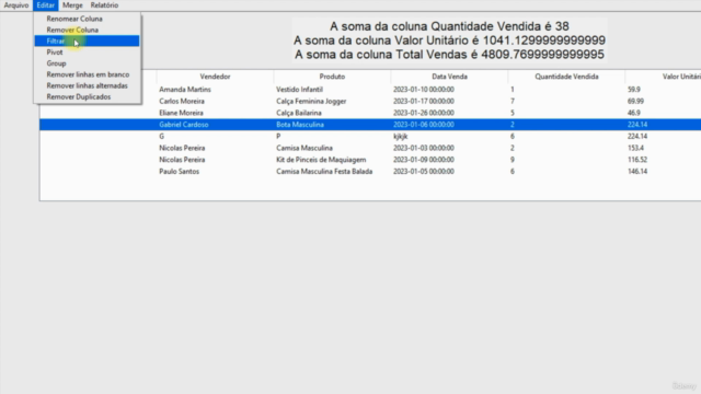 Python e Pandas - Tratamento de Dados com Interface Gráfica – Screenshot 4