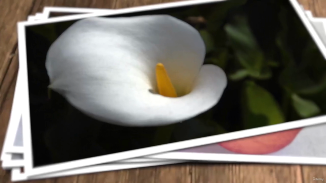 Master Photography Techniques – Screenshot 2