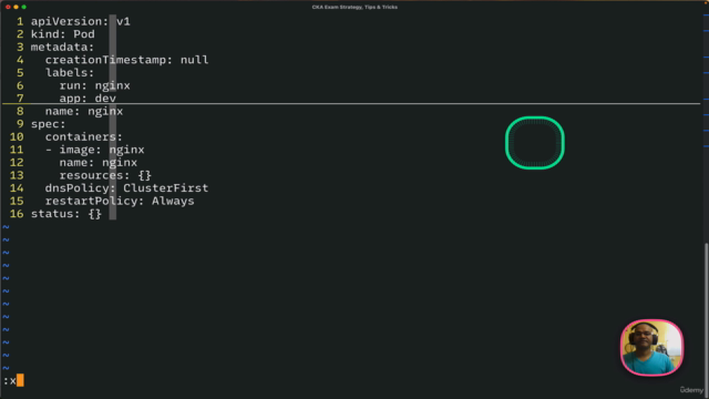Certified Kubernetes Administrator Ultimate Masterclass – Screenshot 1