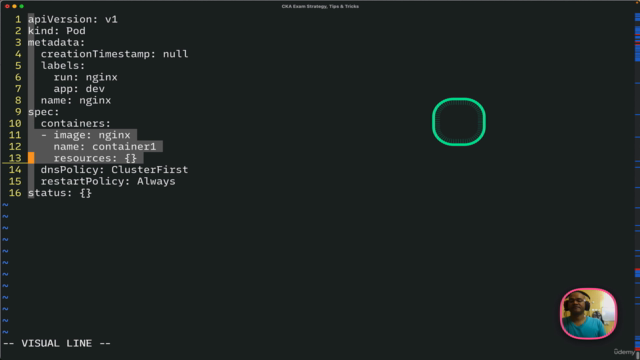 Certified Kubernetes Administrator Ultimate Masterclass – Screenshot 4