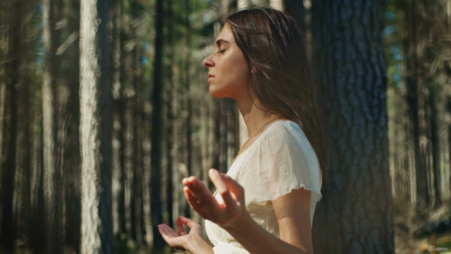 Energy & You – Screenshot 3
