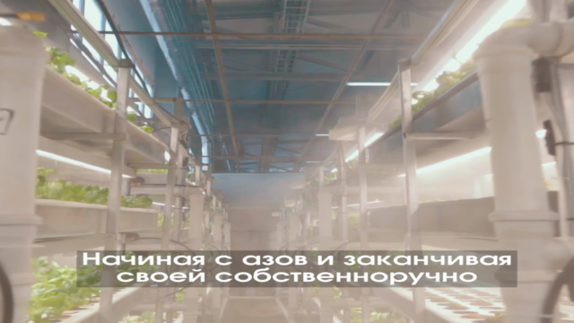 Гидропоника для начинающих – Screenshot 1