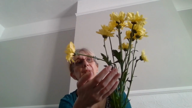 How To Do Psychic Readings With Flowers – Screenshot 1