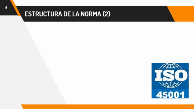 Seguridad y salud en el trabajo ISO 45001 – Screenshot 4
