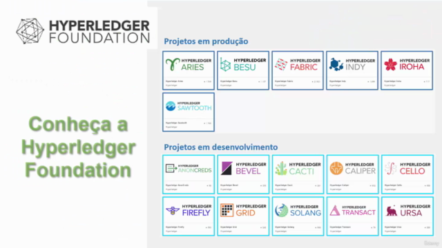 Hyperledger Besu, o blockchain por trás do DREX – Screenshot 1
