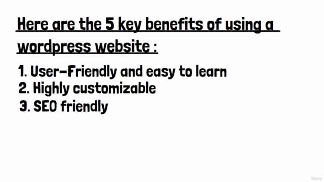 Mastering Wordpress: Wordpress Development and Monetization – Screenshot 3