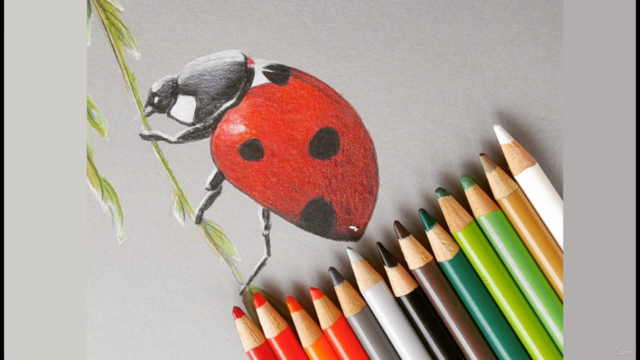 COLORARE CON LE MATITE COLORATE: il Corso Completo – Screenshot 1