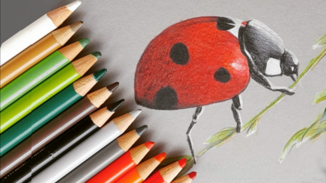 COLORARE CON LE MATITE COLORATE: il Corso Completo – Screenshot 4