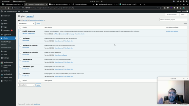 Plugin y themes para Wordpress + React + AWS (2025) – Screenshot 2