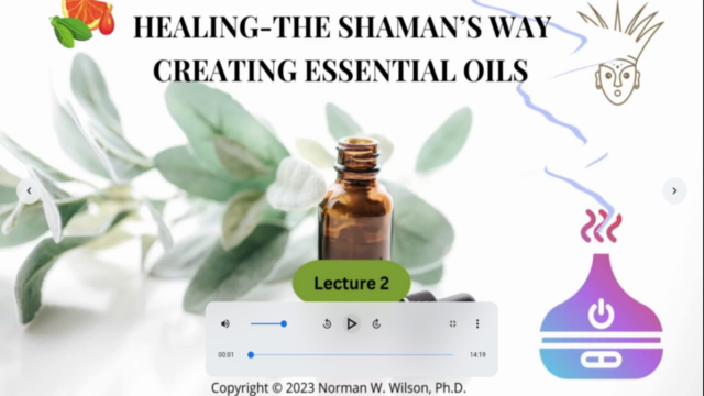 Healing-The Shaman's Way Using Essential Oils – Screenshot 1