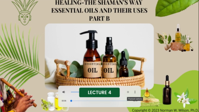 Healing-The Shaman's Way Using Essential Oils – Screenshot 2