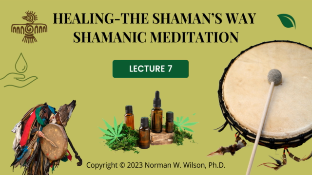 Healing-The Shaman's Way Using Essential Oils – Screenshot 4