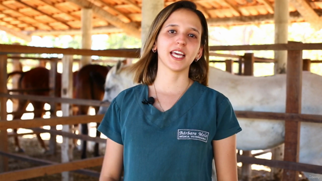 Curso de Auxiliar Veterinário Animais de Grande Porte – Screenshot 1