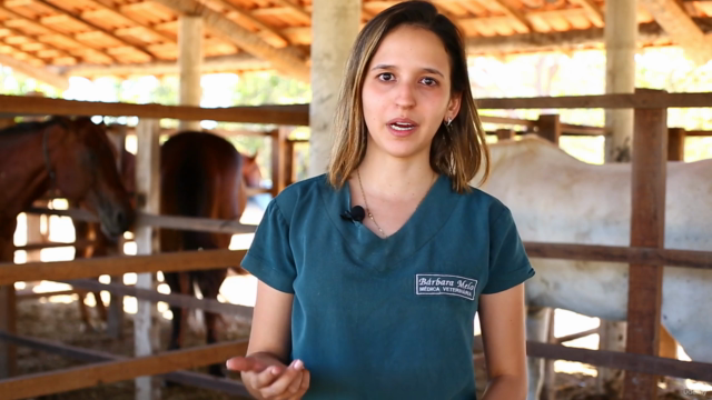 Curso de Auxiliar Veterinário Animais de Grande Porte – Screenshot 3