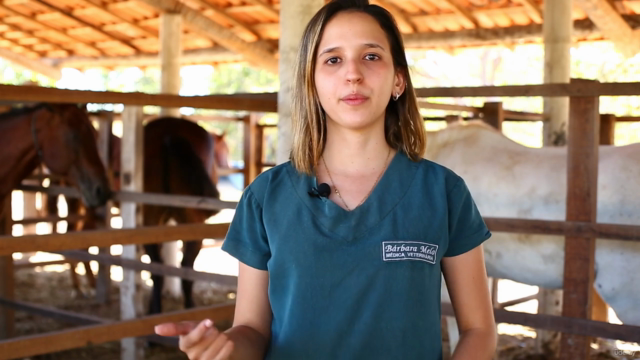 Curso de Auxiliar Veterinário Animais de Grande Porte – Screenshot 4