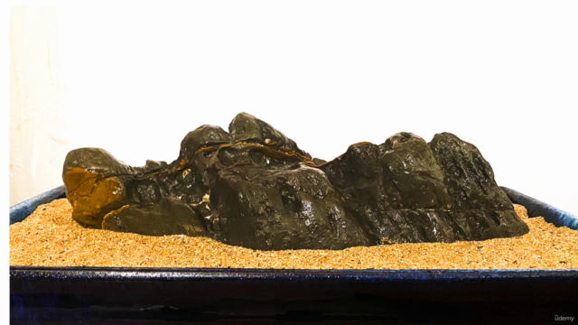 The Ancient Art of Suiseki Stones (Complete Suiseki Course) – Screenshot 1