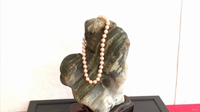 The Ancient Art of Suiseki Stones (Complete Suiseki Course) – Screenshot 2