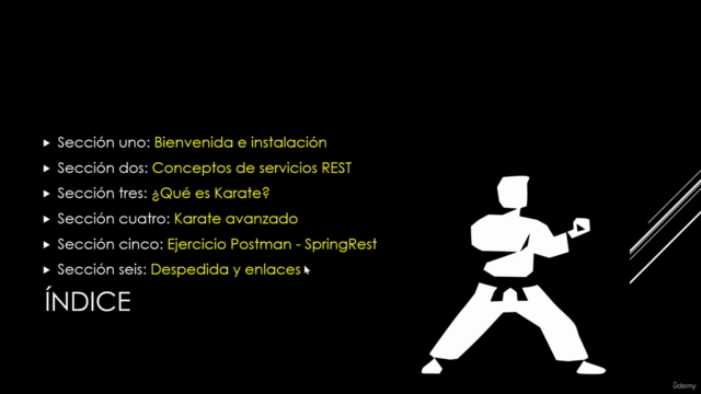 Karate Testing - De principiante a experto – Screenshot 1