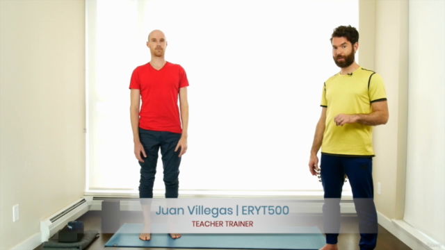 200 Hour Yoga Teacher Training (Part 1) Yoga Alliance RYT200 - Screenshot_02