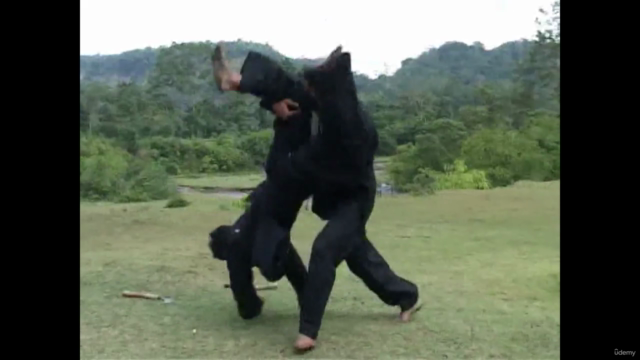 Pencak Silat - 20 Kuncian 20 Styles Vol.2 Version Française – Screenshot 3