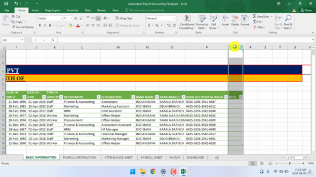 Master in Automated Payroll Accounting in MS Excel – Screenshot 1