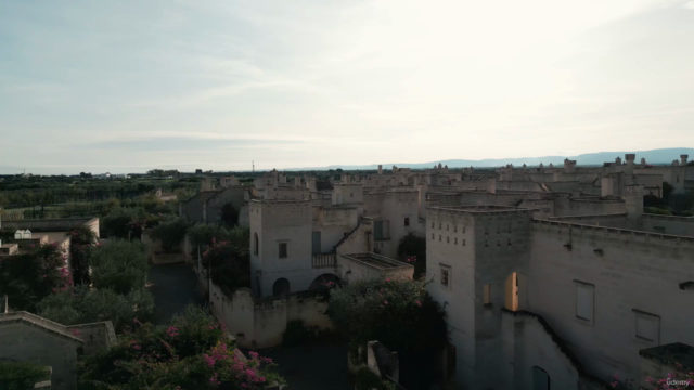 Cameriere di Successo, Corso Completo sul Servizio Sala – Screenshot 2