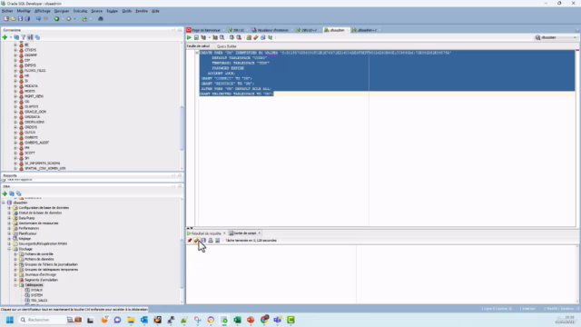 Maîtriser l'outil Oracle DATAPUMP 19c - Screenshot_02