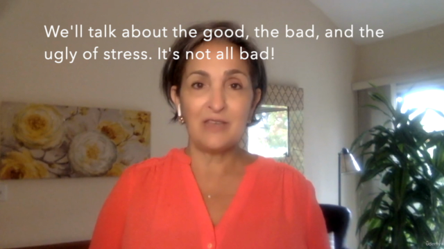 7 Practices to Change Your Relationship to Stress – Screenshot 3