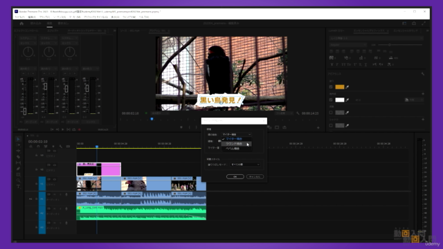 動画編集ソフトPremiere Proの使い方超入門講座 カンタン動画入門 – Screenshot 3