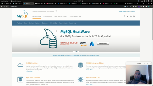 Desarrollo profesional con Golang + AWS (2025) – Screenshot 1