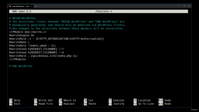 WordPress: Migration Mastery – Screenshot 2