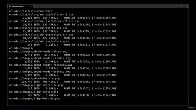 WordPress: Migration Mastery – Screenshot 3