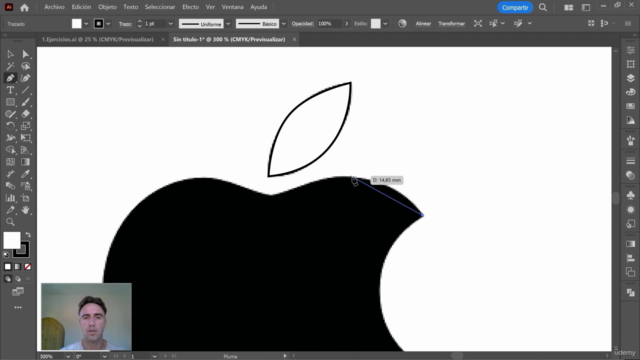 Adobe Illustrator & Curso sobre técnica y creatividad – Screenshot 2