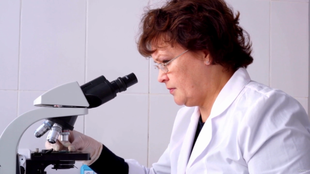 Preclinical Basics: Toxicity, Bioimaging & Literature – Screenshot 1