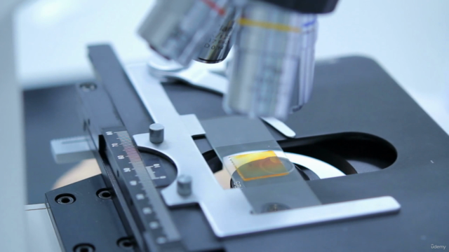 Preclinical Basics: Toxicity, Bioimaging & Literature – Screenshot 3