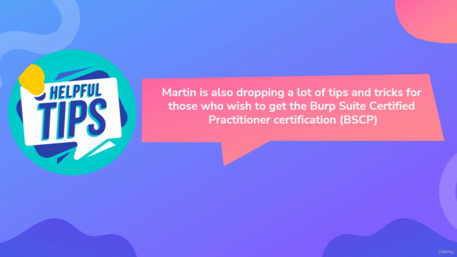 Burp Web Security Academy - Apprentice Labs Walkthrough – Screenshot 2