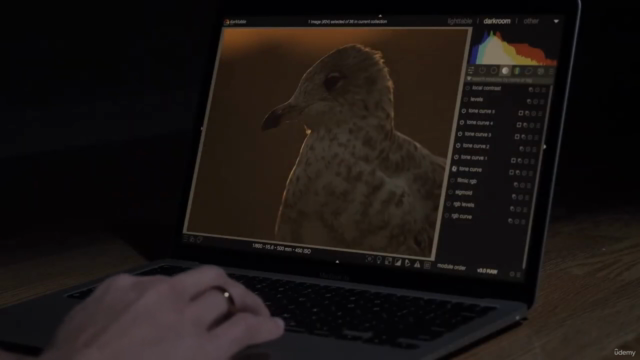 Darktable: Edição de Fotos - Ferramentas Essenciais – Screenshot 1