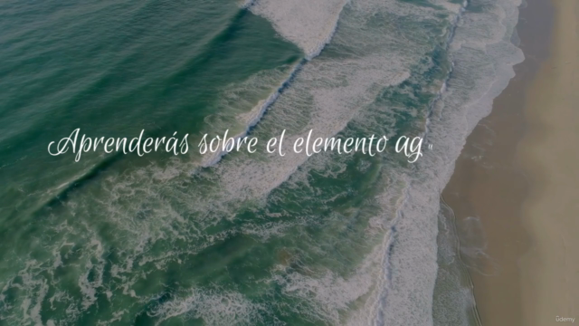 Creación de la Consciencia Cetácea – Screenshot 2