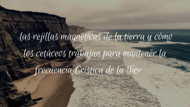 Creación de la Consciencia Cetácea – Screenshot 3