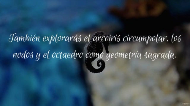 Creación de la Consciencia Cetácea – Screenshot 4