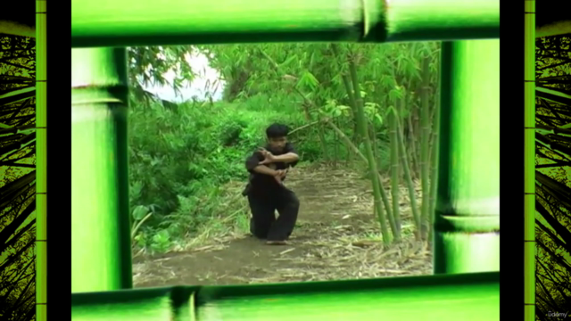 Pencak Silat Pamacan - Tiger Fighting System from Java Vol.3 – Screenshot 3