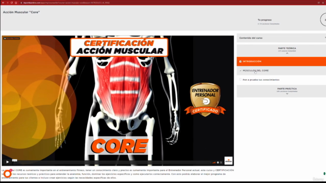Curso Entrenador Personal Online: Fitness Profesional – Screenshot 3