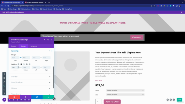 Build eCommerce Store in WordPress using DIVI Theme – Screenshot 3