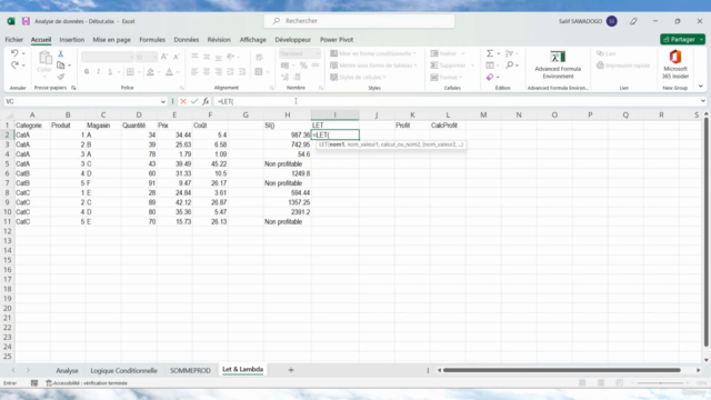 Analyse dynamique de données avec Excel – Screenshot 1