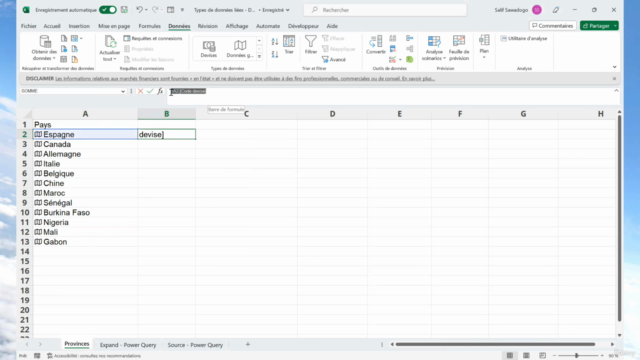 Analyse dynamique de données avec Excel – Screenshot 3