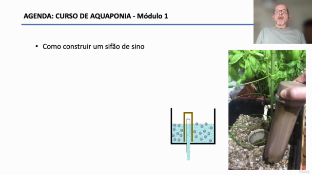 Aquaponia: fundamentos e construção de um sistema aquapônico – Screenshot 4