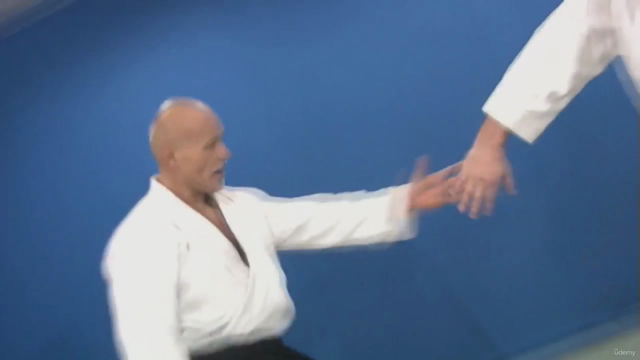 Aikido from A to Z Basic Techniques Vol.2 - Screenshot_01