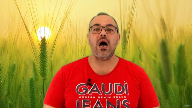 Corso Completo Guarigione Spirituale Certificato/Accreditato – Screenshot 2