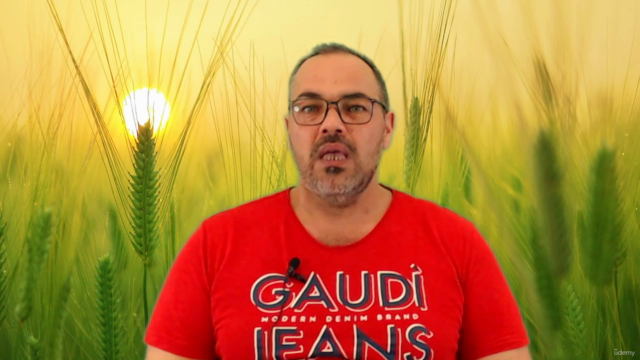 Corso Completo Guarigione Spirituale Certificato/Accreditato – Screenshot 3