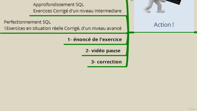 Langage SQL par la pratique - Exercices concrets & corrigés - Screenshot_04